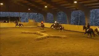 RVVM - Weihnachtsreiten 2018 - Die Springquadrille