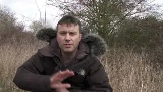 Shapwick Heath Starlings Murmurations