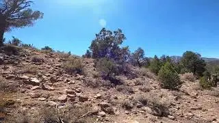 Nevada: Currant Mountain Wilderness
