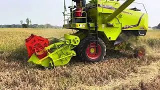 Panesar G 60 Mini Combine Harvester New Price 2025🏆Loan Price,DP💥Emi🚨Panesar G60 On Road Price 2025