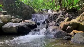 Peaceful Nature Stream | River Sound Ambience to Sleep, Study, and Feel Better