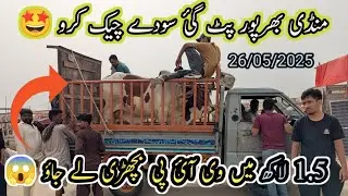 Northern Bypass Mandi Monday Morning Rates 160k 2lac60k offer May 26 2025||Vlog with osama