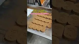 How to Make Coconut Candy with Coconutsugar Powder/ Coconut Sugar Cube Molding Machine #coconutsugar