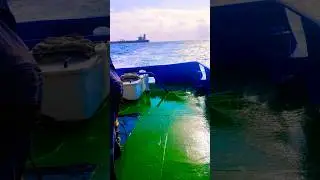 Red Sea Osshore Back To Jetty 🛥️🛥️🛥️#viral #trending #viralvideo #shortvideo #short