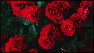 EMDR CHAKRA Bilateral Relaxation Meditation with Therapist Carmel Clark