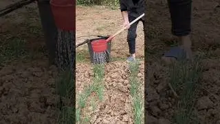 Regador pr&aacute;tico #horta #garden #hortaemcasa  #dicasdejardinagem