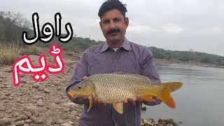 Fishing trip at Rawaldam | Rawaldam fishing | Sheikh Basit Fishing