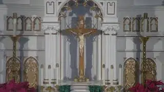 Daily Mass | All Saints Parish | 1.29.26