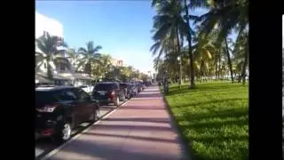 From Downtown to Miami Beach