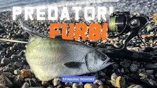 Predatori diffidenti e attrezzatura light: la vera sfida dello spinning medio leggero