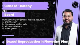 During microsporogenesis, meiosis occurs in: a. Endothecium b. Microspore mother cells c. Microsp...