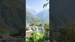 I Lost $2 Million Investing in a Casino in Nepal | Instagram - @nickbellau