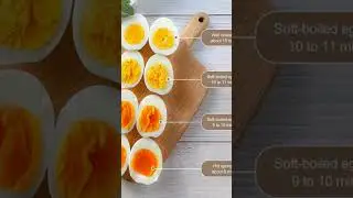 Cek Mini Electric Egg Cooker Auto Timer harga Rp49.999.di Shopee   