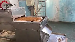 Yellow mealworm , Black Solider fly , Locusts, crickets, insects Drying machine
