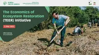 The Economics of Ecosystem Restoration (TEER) initiative