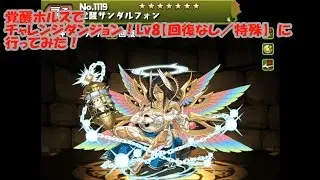 【パズドラ】チャレンジダンジョン！Lv8（覚醒ホルス）【ファミ通App】