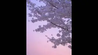 (free for profit) - *hyperpop* lieu x nomu type beat 