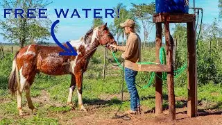 Using A Ram Pump To Build A Water System For My Horses WITHOUT ELECTRICITY (Free Spring Water!)