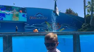 Zoomarine Algarve, Portugal - family fun with a toddler 2023 near Albufeira
