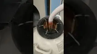 Storing cell lines in liquid nitrogen