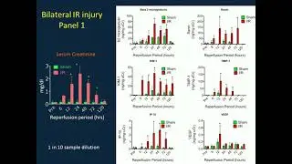 Measuring Toxicity Biomarkers in Mouse Models and Other Small volume Samples