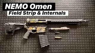В брюхе зверя: полевая полоса NEMO Omen