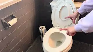 Honest Review of Built-In Toddler Potty Training Seat