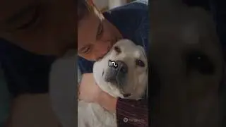 The power of berging#Berging- #SnuggleUp- #ComfortAndConnection- #AnimalBehavior