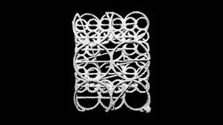 Alci - Beast (MEANDER 22)