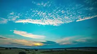 Bài hát: Mưa lời khen Chúa #thanhca #nhacthanhca #music 