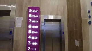 Лифты(ЧЛЗ 2019 г.в) 2-я Луговая 24 к2,г.Тюмень