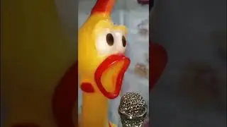 🐤PRACTICING HOW TO SING🐔MR SHRILLING CHICKEN 🐣22🐣🐣#short #shrillingchicken #asmrsounds #asmr