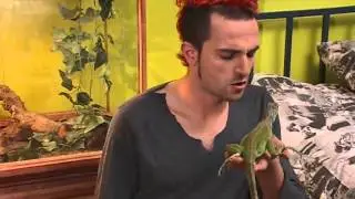 Mega Eisai To Tairi Mou E26 DSR GrLTv