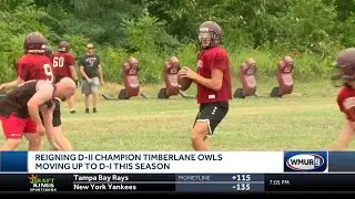 Timberlane Owls hope success in D-II carries over to D-I
