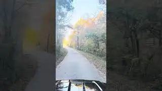 Middle Tennessee Backroad Fall Foliage Tour