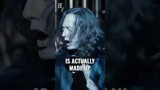 Did you know this about The Weird Sisters band in Goblet of Fire? #harrypotter