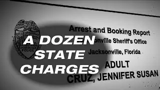 Judge orders woman accused of punching trooper, kicking ICE officer be released on bond