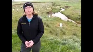 Four Catchments - Restoring waterways of the Northern and Yorke region.