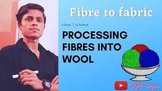 Fibre to fabric | processing fibres into wool | class 7 science chapter 3 | SSB classes