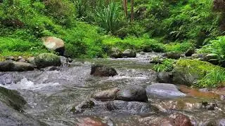 Deep Calm River &ndash; 10 Hours of ASMR for Focus, Anxiety & Stress Recovery