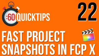 Ep 22 Fast Project Snapshots