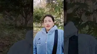 Nkauj ntheeg yaj kwv txiaj sib hub tsig sib Tau 18/1/2026