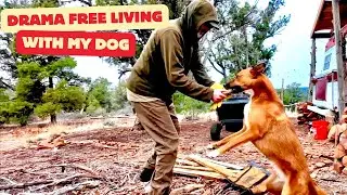 I Chose To Leave Society & Build a Calm, Off-Grid Life With NO DRAMA