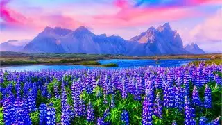 Acoustic Folk Music, Indie/-Folk, Relaxing Folk Music 