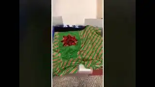 Shinesty - December 2019 Unboxing