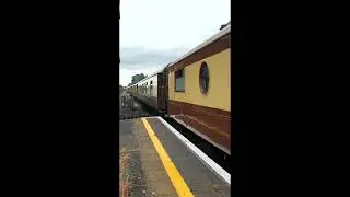 50007 at Pinhoe station