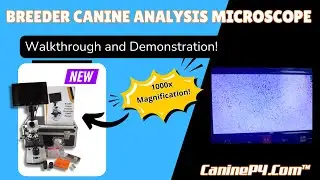 Breeder Microscope Demonstration | Breeder Canine Analysis Microscope 1000x