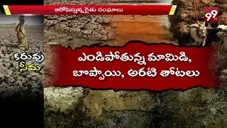 Special Focus On Rayalaseema Drought | No Rain No Water || 99TV ||