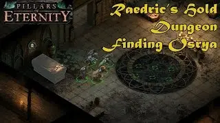 Pillars Of Eternity - Raedric's Hold Dungeon - Finding Osrya - Walkthrough Gameplay Part 20