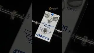 MAD PROFESSOR - Silver Spring + Strato | #ペダルの違いがわかる動画 | 中古楽器専門店 Qsic